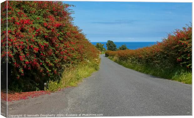 The road to Kinnigo Bay Canvas Print by kenneth Dougherty