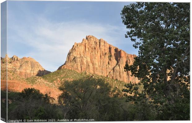 Sunlit Rocks, Zion National Park Canvas Print by Sam Robinson