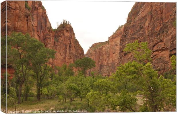 Canyon Zion National Park Canvas Print by Sam Robinson