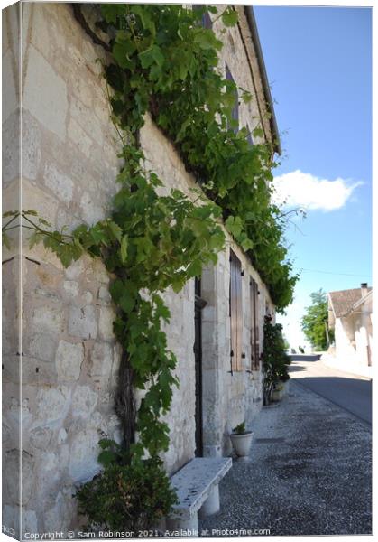 Vine covered building, France Canvas Print by Sam Robinson