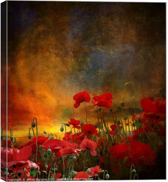 Phil's poppies Canvas Print by Jeffrey Burgess
