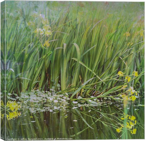 The edge of a pond Canvas Print by Jeffrey Burgess