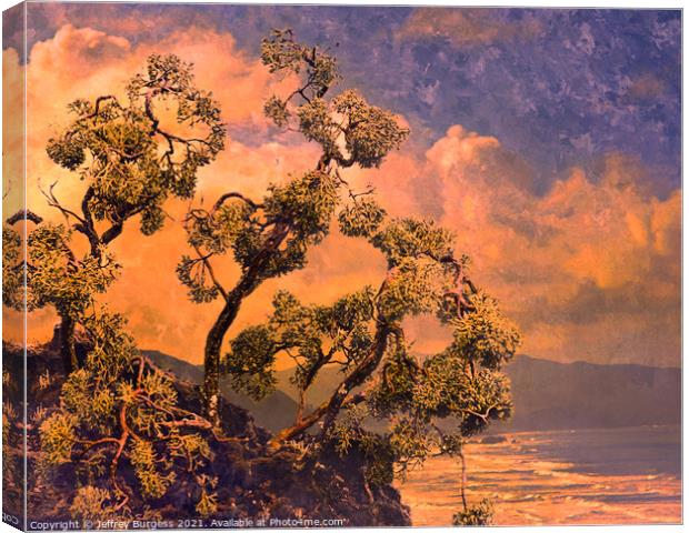 Bonsai Hemlock and Pacific Coast Canvas Print by Jeffrey Burgess