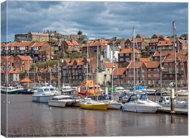 Whitby, North Yorkshire  Canvas Print by June Ross