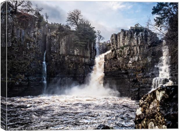 High Force Waterfall, Upper Teesdale Canvas Print by June Ross