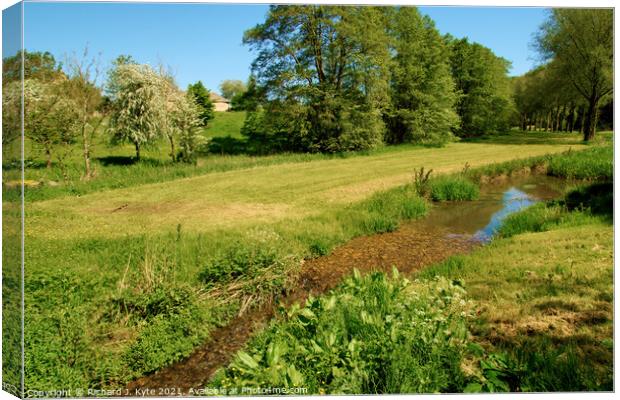River Windrush looking north, Barton, Cotswolds, Gloucestershire Canvas Print by Richard J. Kyte