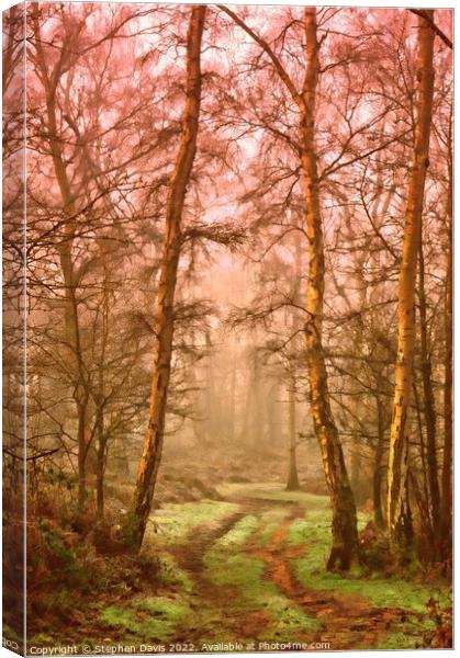 Misty Woodland Canvas Print by Stephen Davis