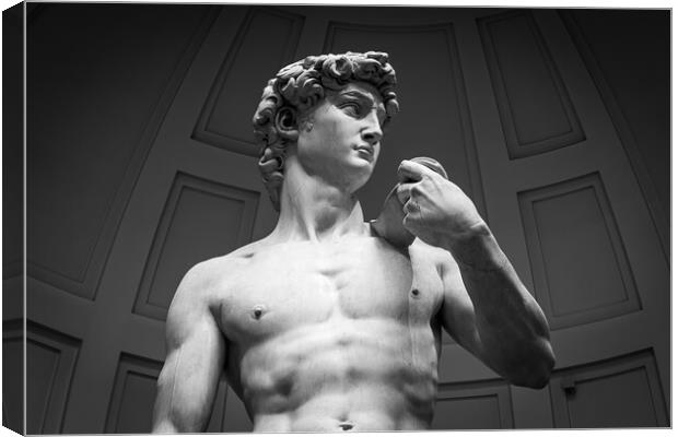 David by Michelangelo Canvas Print by Alan Le Bon