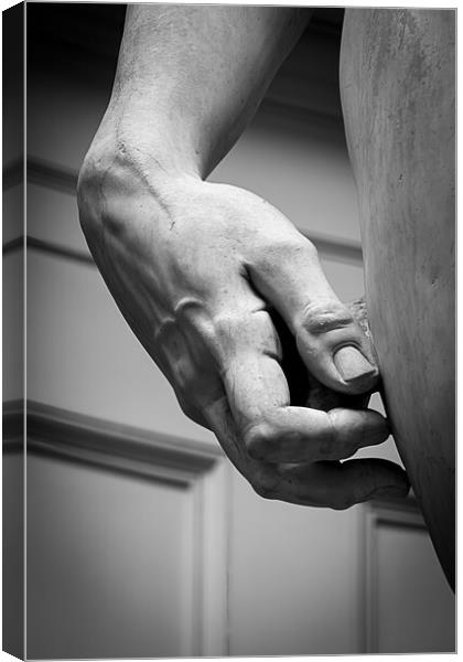 David by Michelangelo Canvas Print by Alan Le Bon