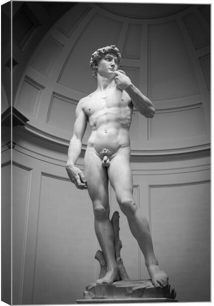 David by Michelangelo Canvas Print by Alan Le Bon