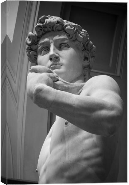 The Statue of David by Michelangelo Canvas Print by Alan Le Bon