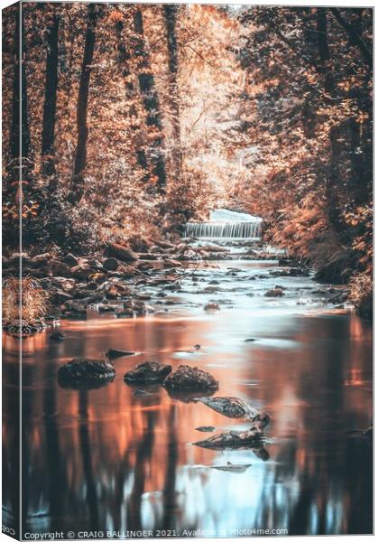 Autumn light streaming through the trees  Canvas Print by Craig Ballinger