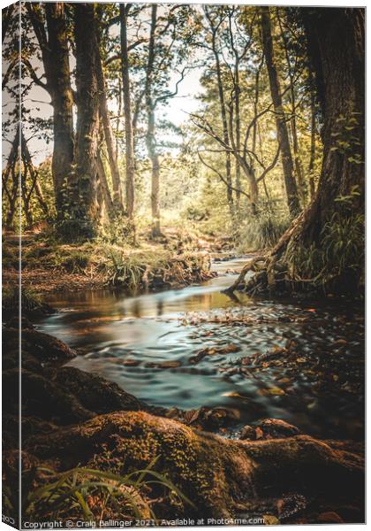 AUTUMN AT CANNOP PONDS FOREST OF DEAN Canvas Print by Craig Ballinger