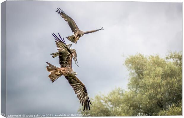 RED KITES OVER WARWICK Canvas Print by Craig Ballinger