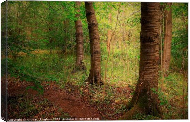 Trees pictured beside a path in Stoke wood near Bicester Canvas Print by Andy Buckingham