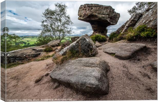 Brimham Rocks natural sandstone Canvas Print by Alec Hey