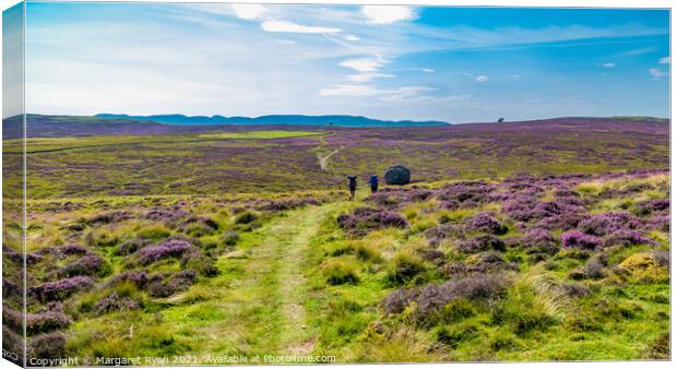 A Purple Heathered Yorkshire Journey Canvas Print by Margaret Ryan