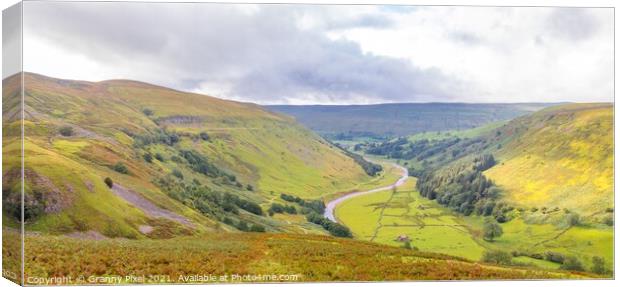 Swaledale Canvas Print by Margaret Ryan