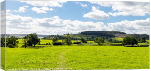 Yorkshire dales on a Summers day Canvas Print by Margaret Ryan