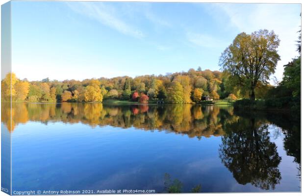 Serenity in Stourhead Canvas Print by Antony Robinson