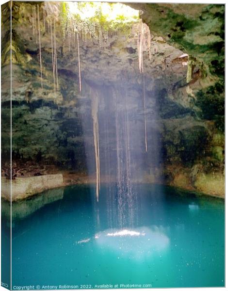 Hubiku Cenote Canvas Print by Antony Robinson