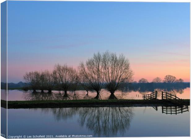 Tree reflection over body of water  Canvas Print by Les Schofield