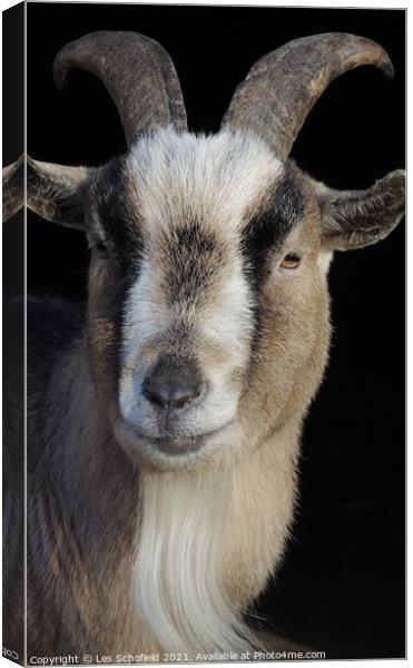 Billy The Goat  Canvas Print by Les Schofield