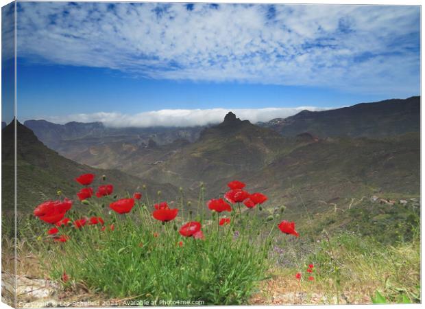 Poppies in the Mountains Canvas Print by Les Schofield