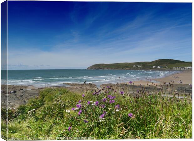 Majestic Waves at Croyde Beach Canvas Print by Les Schofield