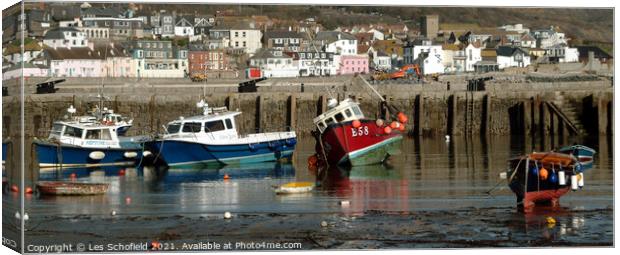 The Serene Jurassic Coast Canvas Print by Les Schofield