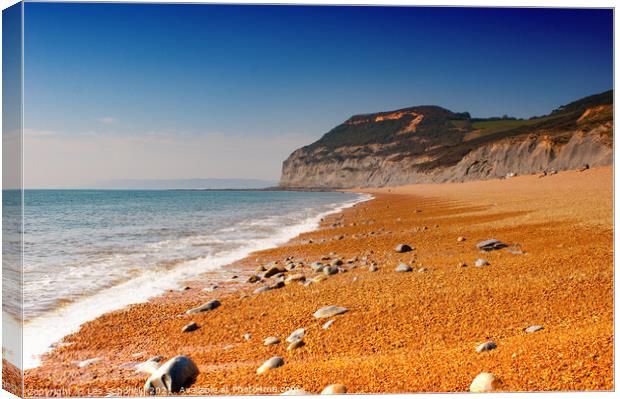 Seatown Dorset Beach  Canvas Print by Les Schofield