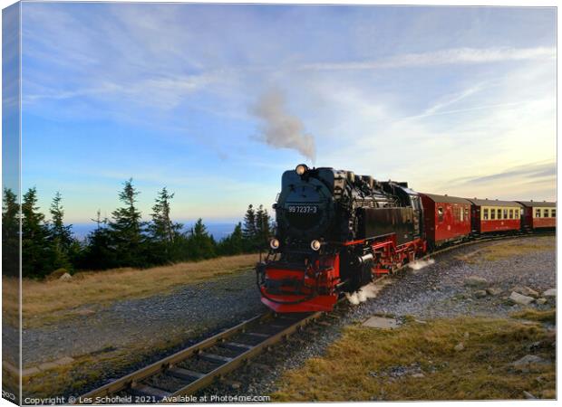 The harz mountain railway Germany  Canvas Print by Les Schofield