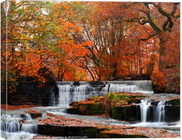 Beautiful Autumn Waterfall Canvas Print by Les Schofield