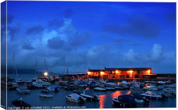 A Serene Sunrise in Lyme Regis Canvas Print by Les Schofield