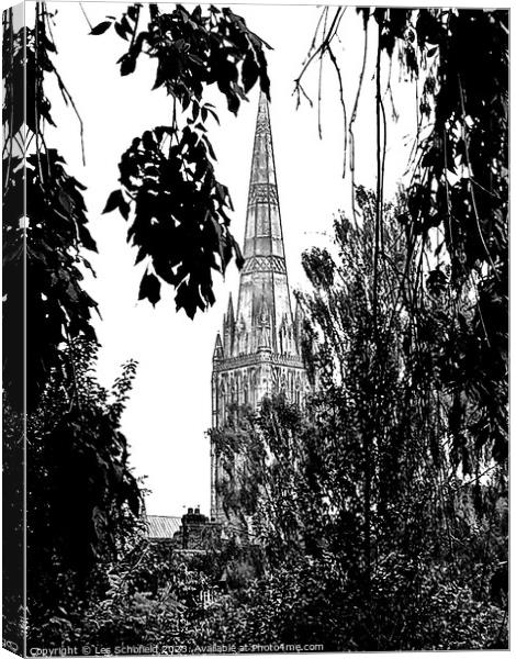 Majestic Salisbury Cathedral in Monochrome Canvas Print by Les Schofield