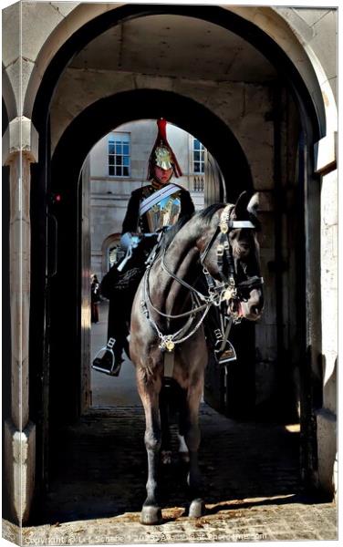 Horse guards parade  Canvas Print by Les Schofield