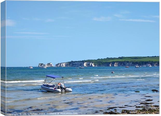 View of old Harry's rocks from knoll beach studlan Canvas Print by Les Schofield