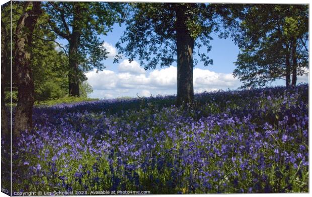 Bluebell Woods Canvas Print by Les Schofield