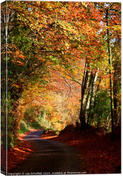 Autumn Lane Canvas Print by Les Schofield