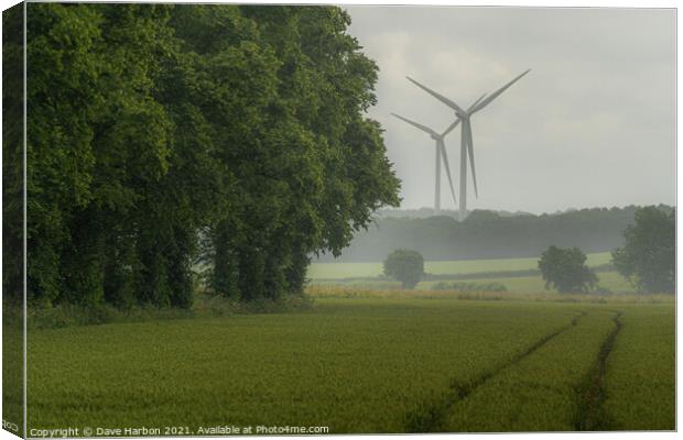 Summer Rain Canvas Print by Dave Harbon