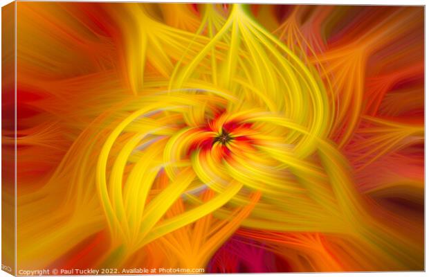 Abstract Lily Canvas Print by Paul Tuckley