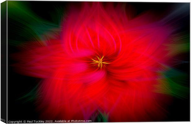 Hibiscus Canvas Print by Paul Tuckley