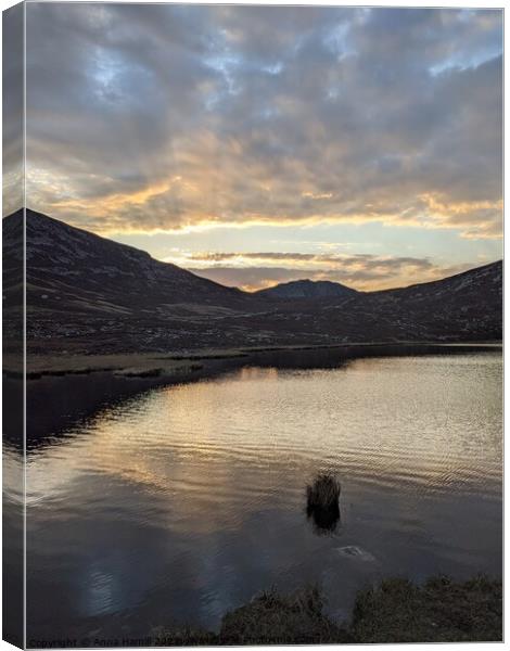 Lake in the mourne mountains of northern ireland Canvas Print by Anna Hamill