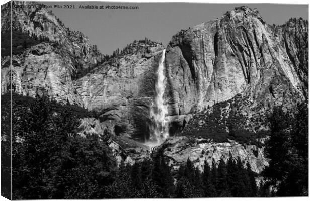 Thundering Yosemite Falls Canvas Print by Ron Ella