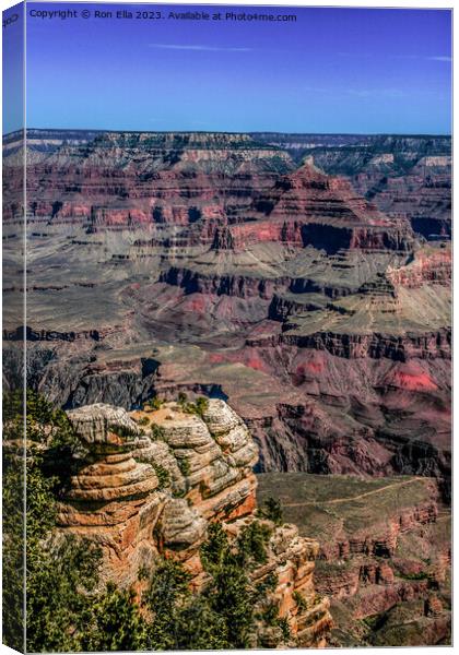 Canyon of Colossal Proportions Canvas Print by Ron Ella