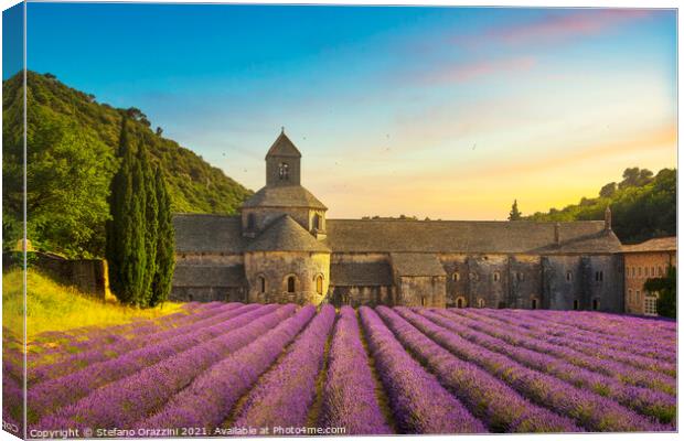 Senanque Abbey at Sunset Canvas Print by Stefano Orazzini