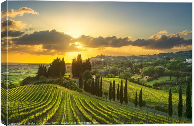 Vineyards in Alta Maremma at Sunset Canvas Print by Stefano Orazzini