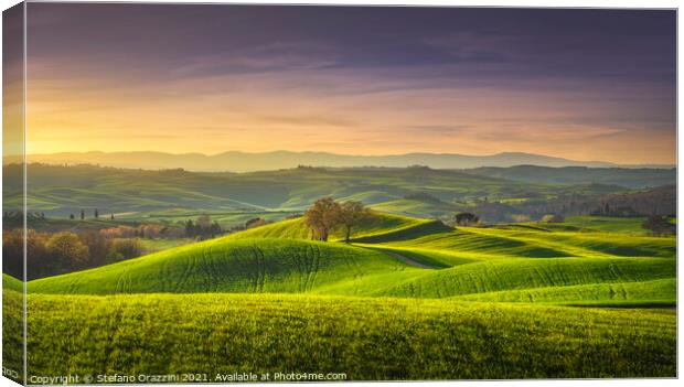 Two Trees, springtime in Tuscany, Pienza, Val d'Orcia Canvas Print by Stefano Orazzini