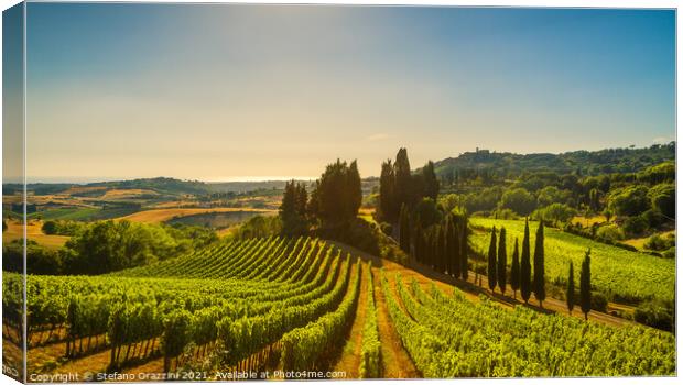 Casale Marittimo vineyards, landscape in Maremma. Canvas Print by Stefano Orazzini