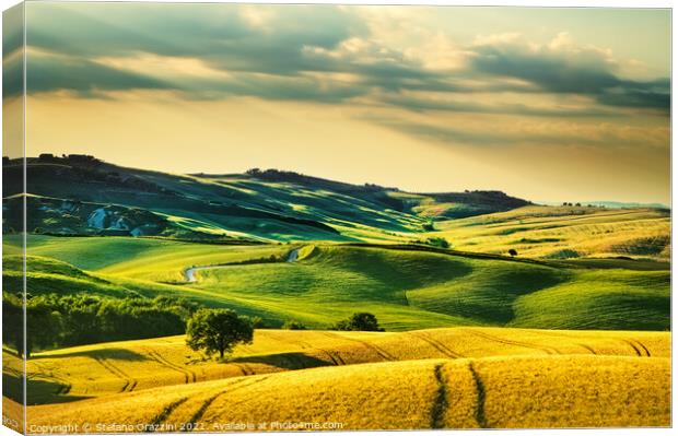 Tuscany, rolling hills and wheat fields in Val d'Orcia  Canvas Print by Stefano Orazzini